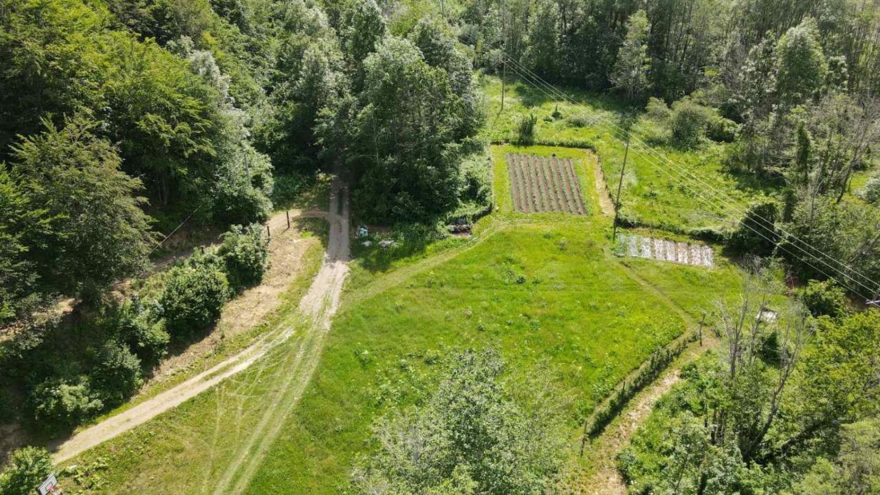 Holiday Bungalows Pajkovir Kolašin Kültér fotó